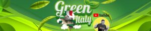 green italy banner 