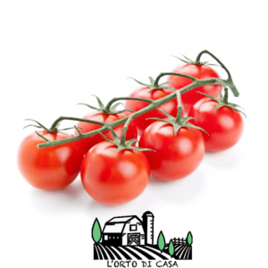 Pomodori Cliegino L'Orto di Casa