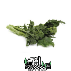 Broccoletti Cime di Rapa L'Orto di Casa