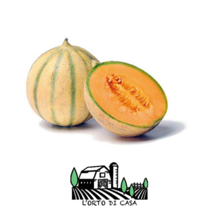 Melone Francesino