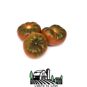 Pomodori Costoluto L'Orto di Casa