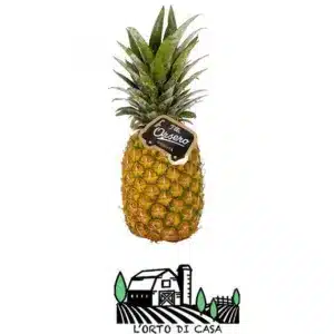 ananas l'orto di casa