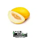 melone giallo l'orto di casa